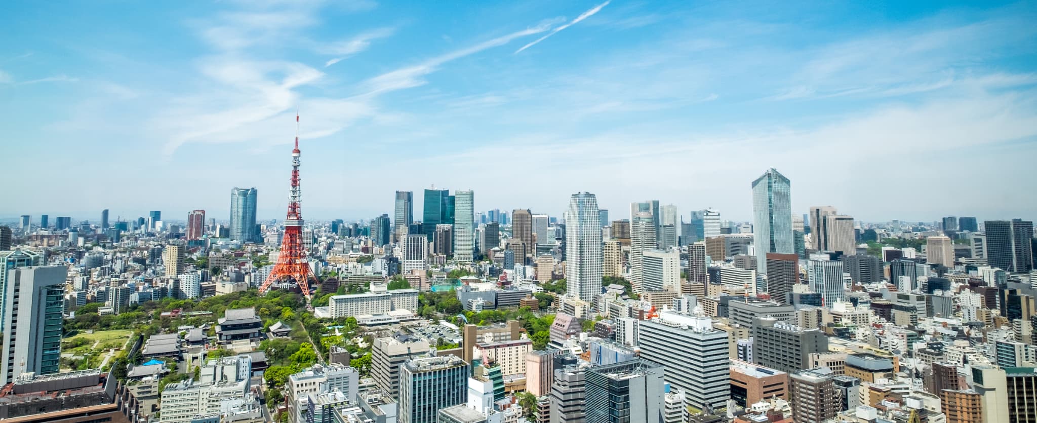 応募の背景画像